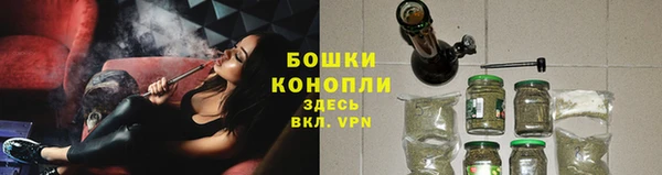 ГАЛЛЮЦИНОГЕННЫЕ ГРИБЫ Покров