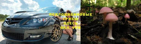 Альфа ПВП Арсеньев